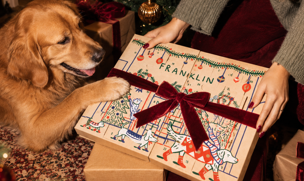 Les meilleurs calendriers de l’avent pour chien en 2026