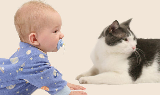 Chat et arrivée d'un bébé :  Comment préparer votre félin à cette rencontre importante  ?