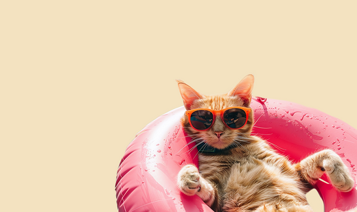 Chat et canicule : comment l'aider à rester au frais et éviter le coup de chaleur