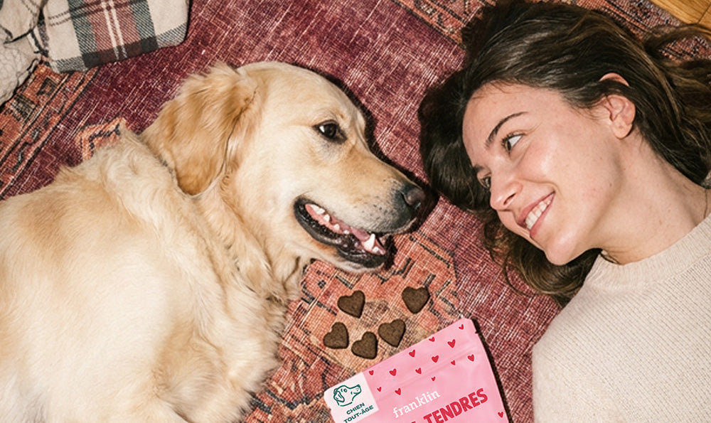 Offrir un cadeau à son chien pour la Saint-Valentin : 5 idées originales