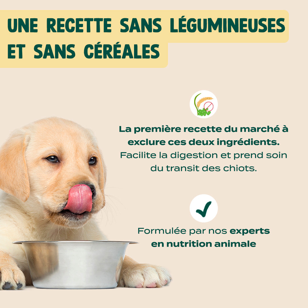 DINDE, TRUITE, PATATE DOUCE