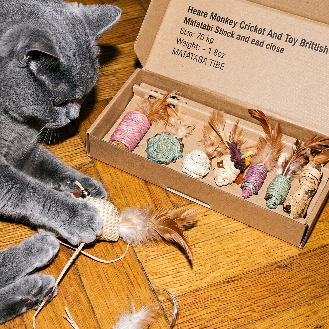 CANNE À PÊCHE CHAT