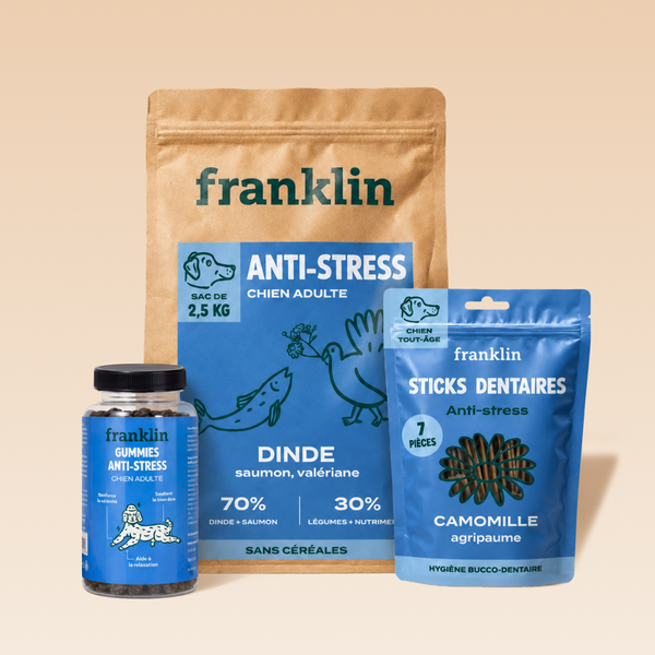pack-anti-stress-chien