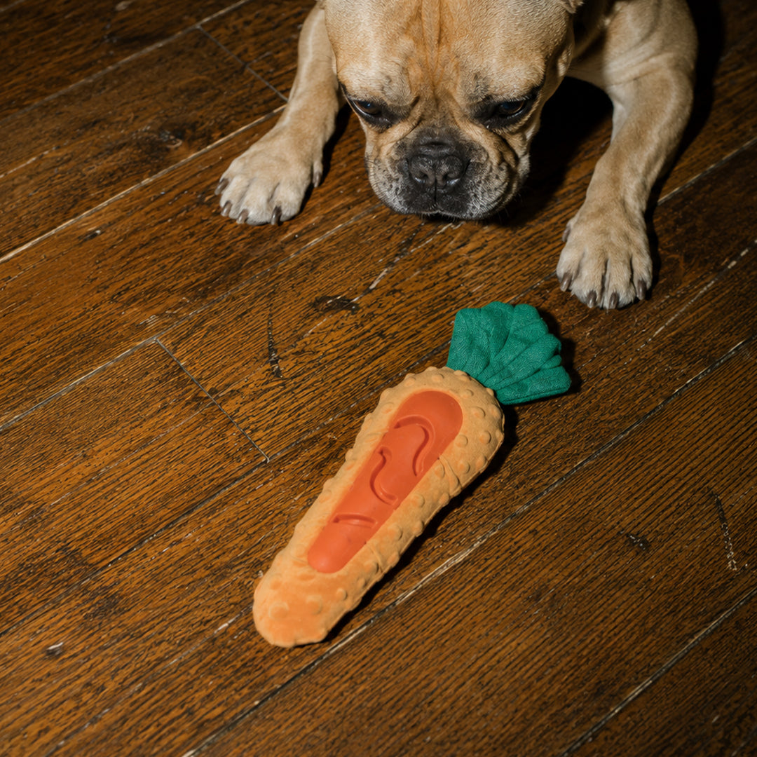 JOUET CAROTTE POUR FRIANDISES CHIEN
