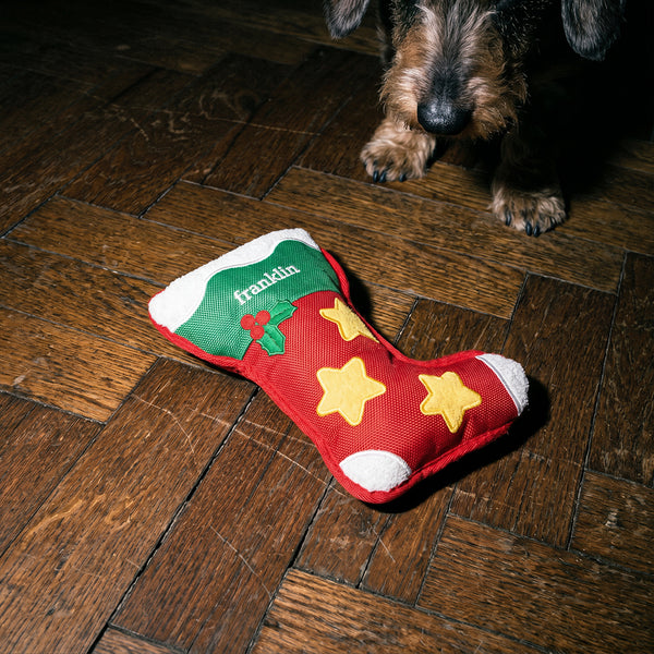 doudou-chaussette-noel-chien
