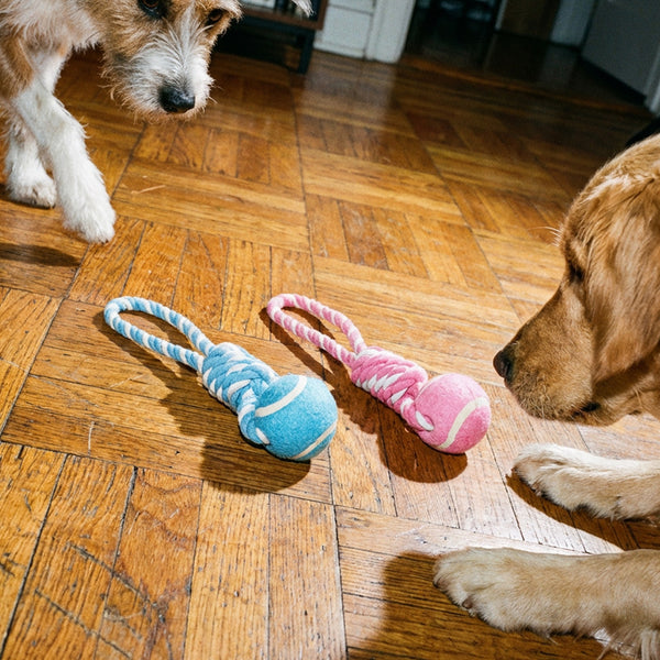 jouet-corde-chien