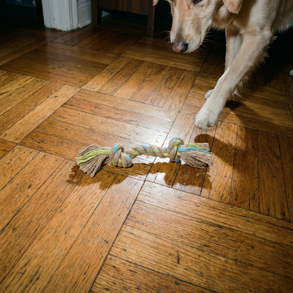 jouet-corde-chien