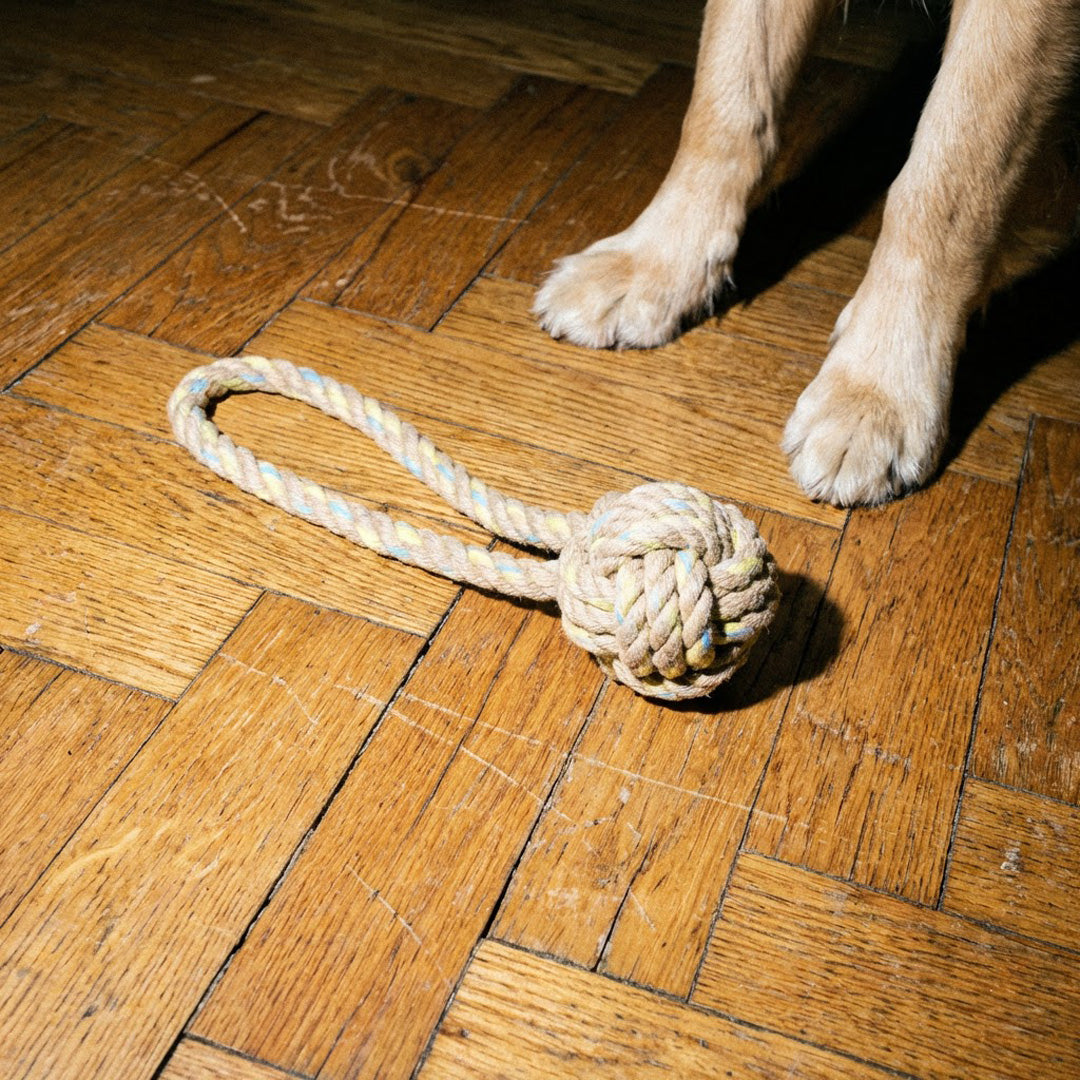 JOUET CORDE CHIEN