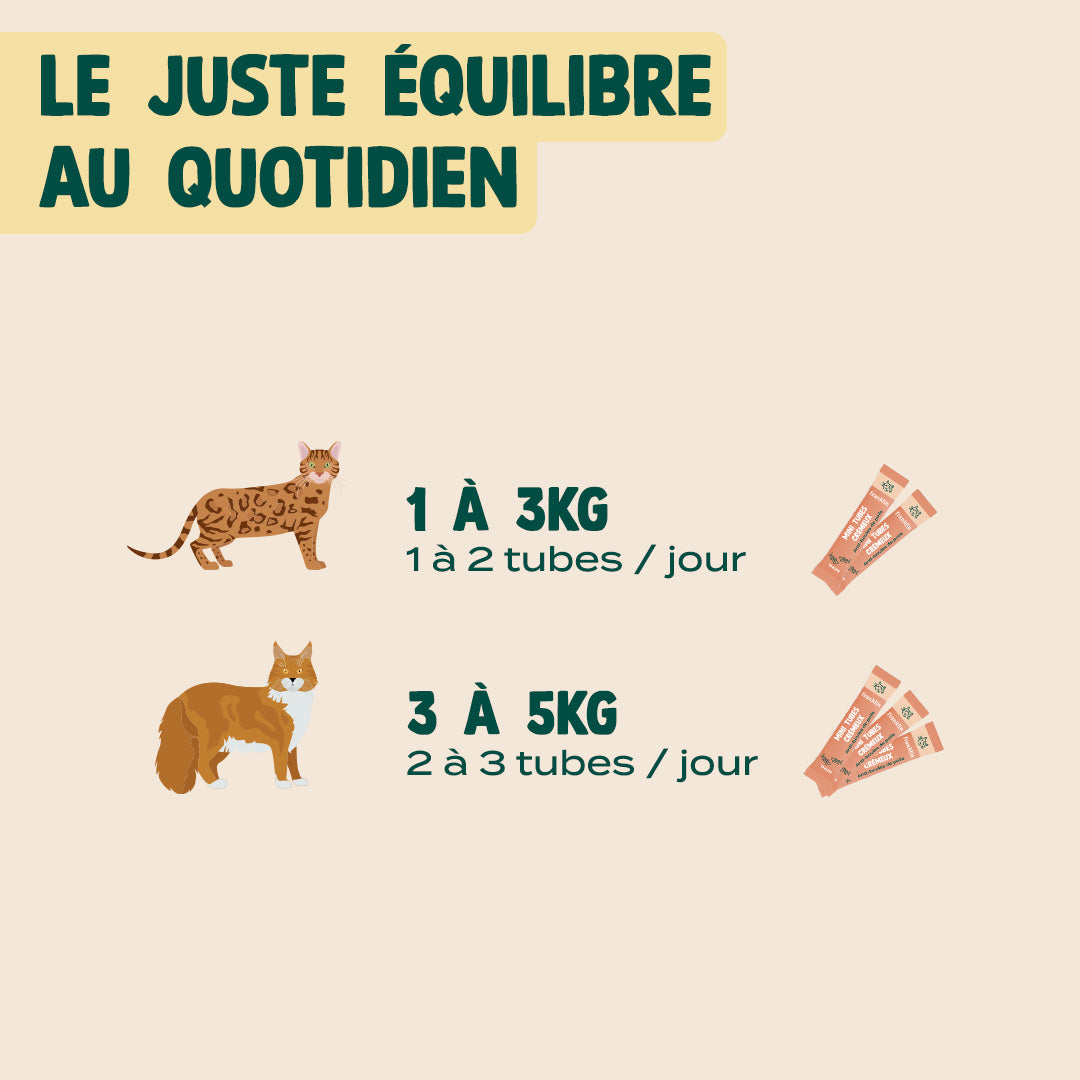 MINI TUBES CRÉMEUX THON