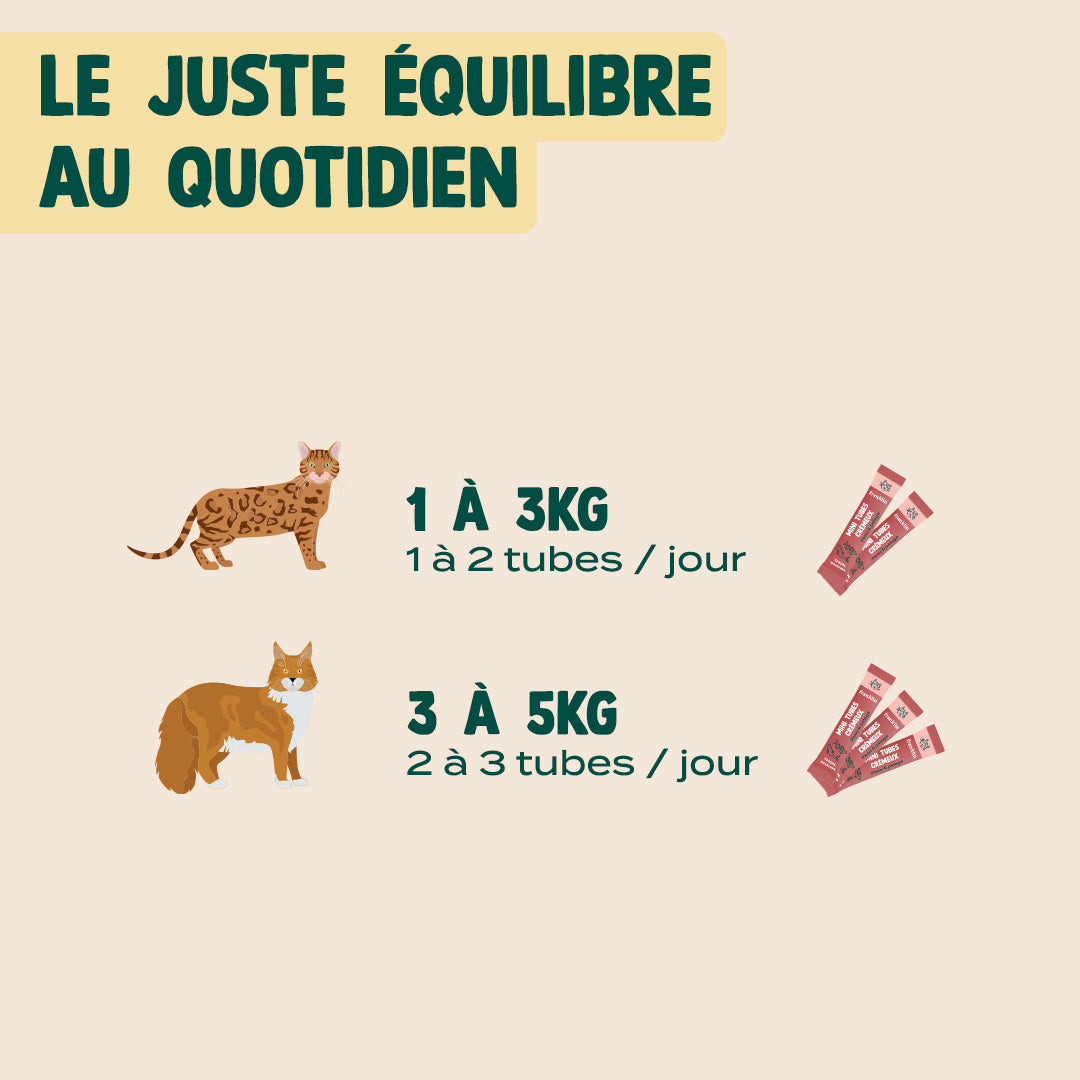 MINI TUBES CRÉMEUX THON, SAUMON