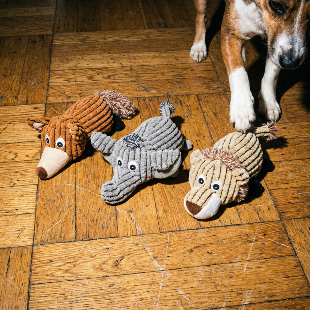 DOUDOU CHIEN