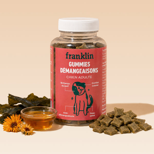 gummies-demangeaisons