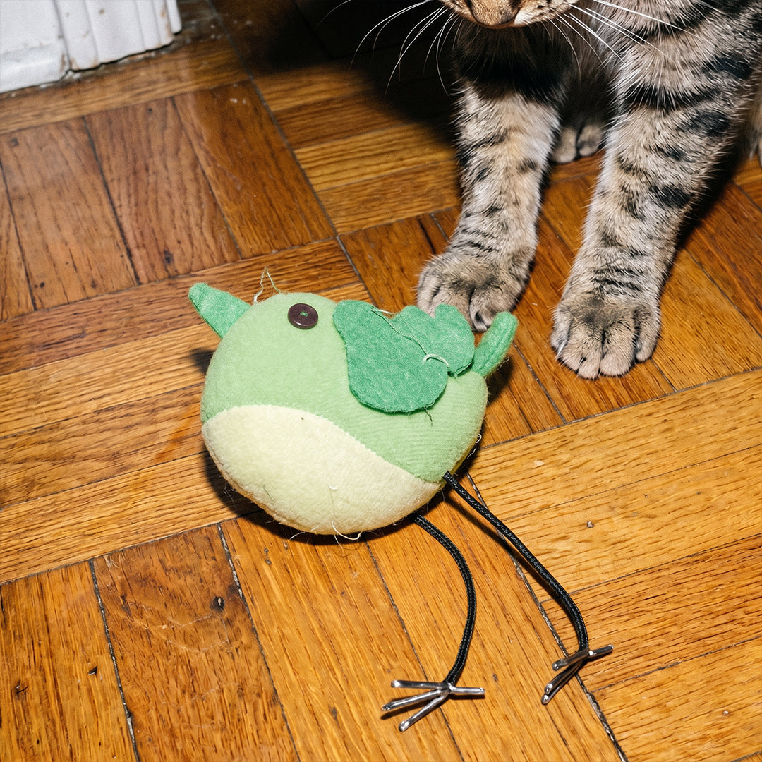 JOUET OISEAU HERBE À CHAT 1