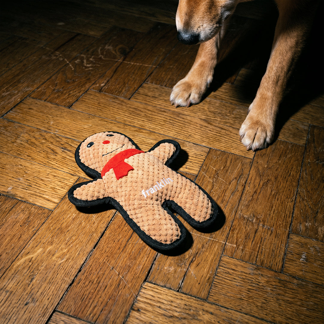 DOUDOU PAIN D'ÉPICES CHIEN