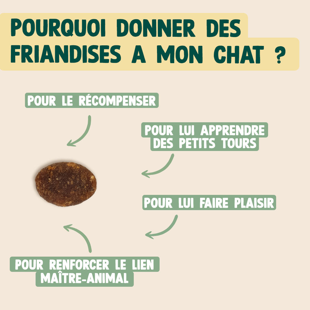 SUPER SNACK SAUMON, COLLAGÈNE