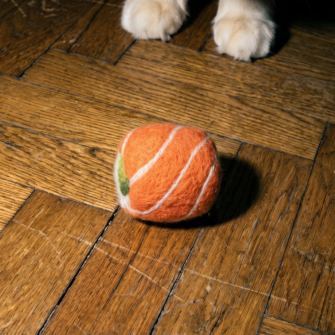 JOUET SUSHI HERBE À CHAT 1