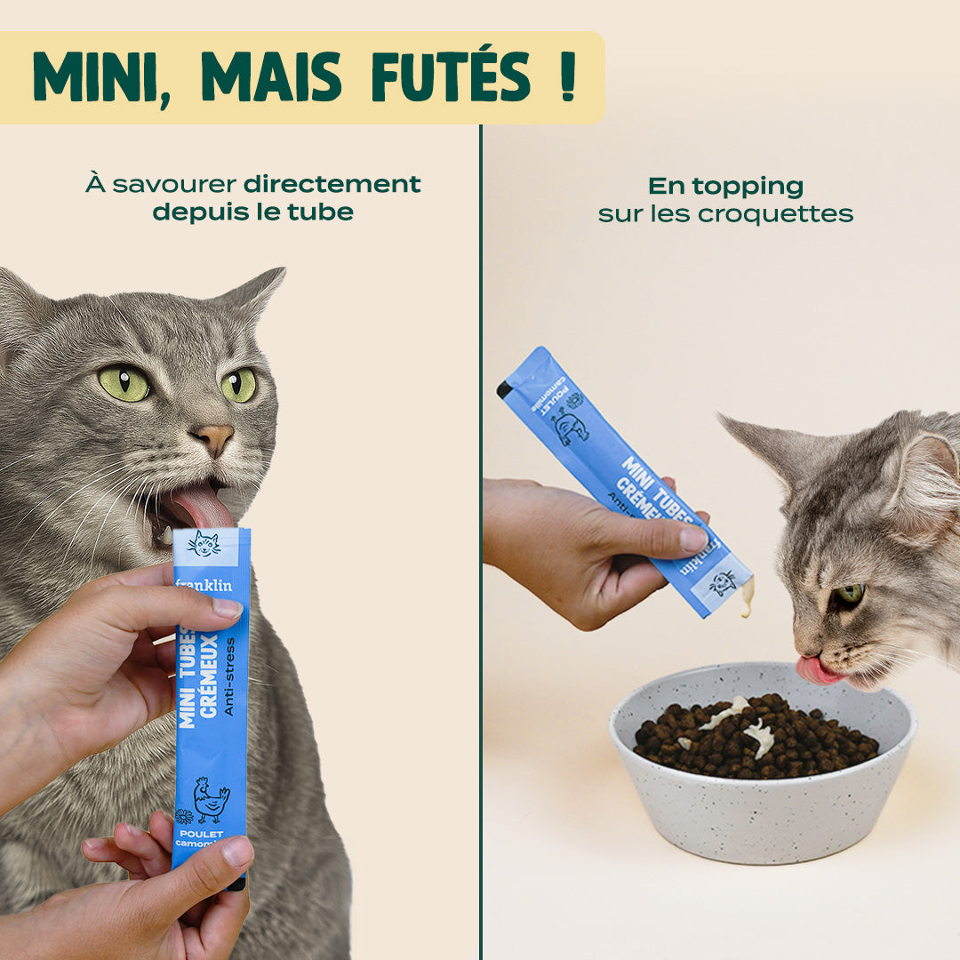 TRIO DÉCOUVERTE MINI TUBES CRÉMEUX