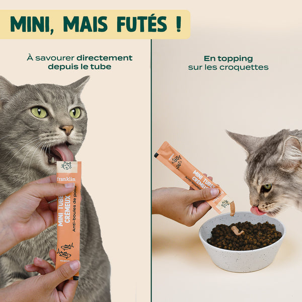 mini-tubes-cremeux-thon