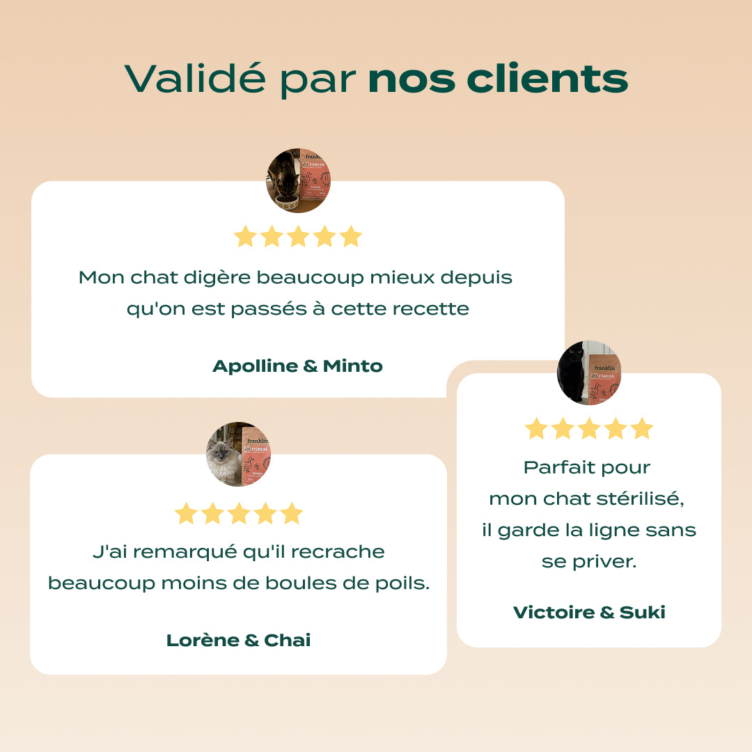 DINDE, CANARD, CANNEBERGE