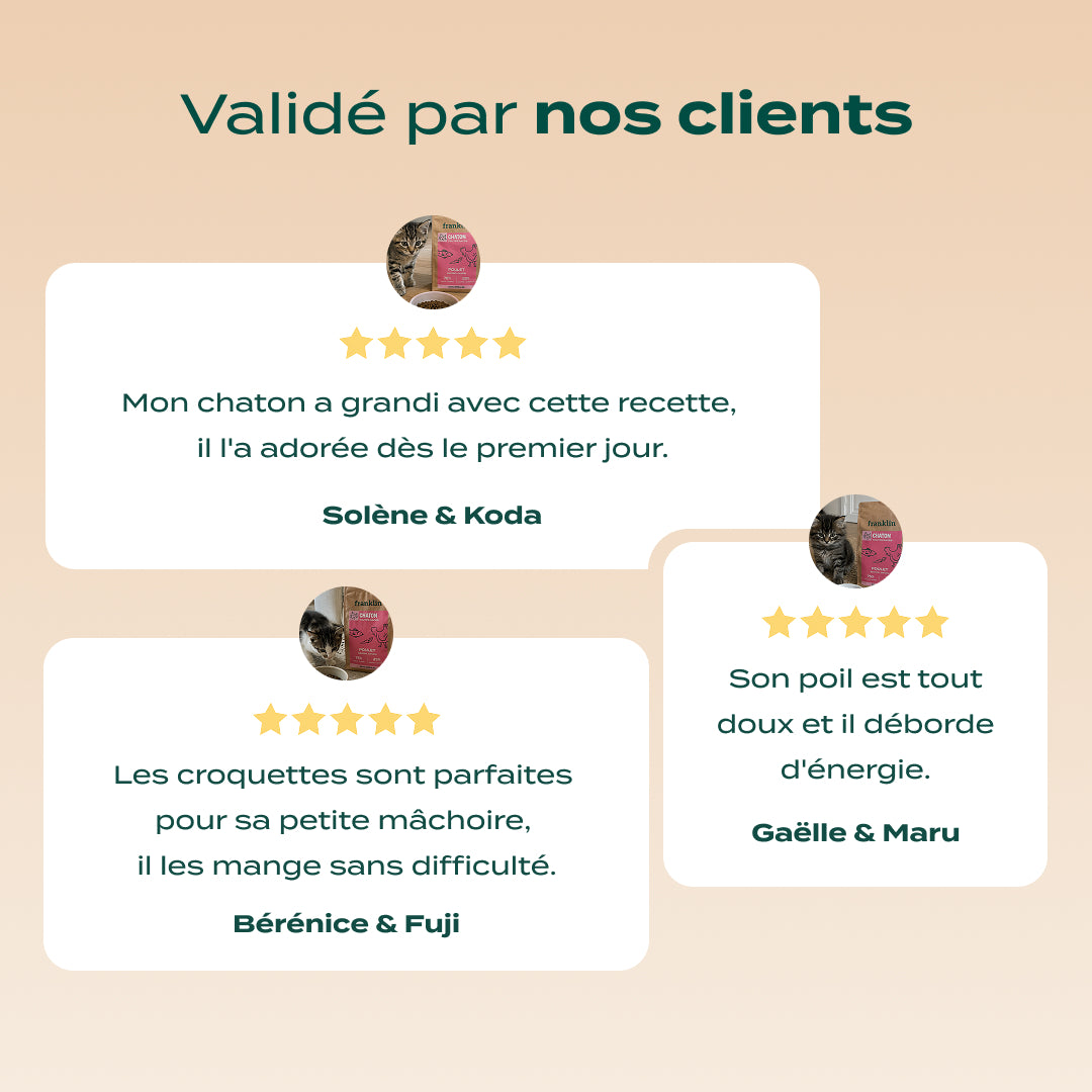 POULET, SAUMON, CAROTTE