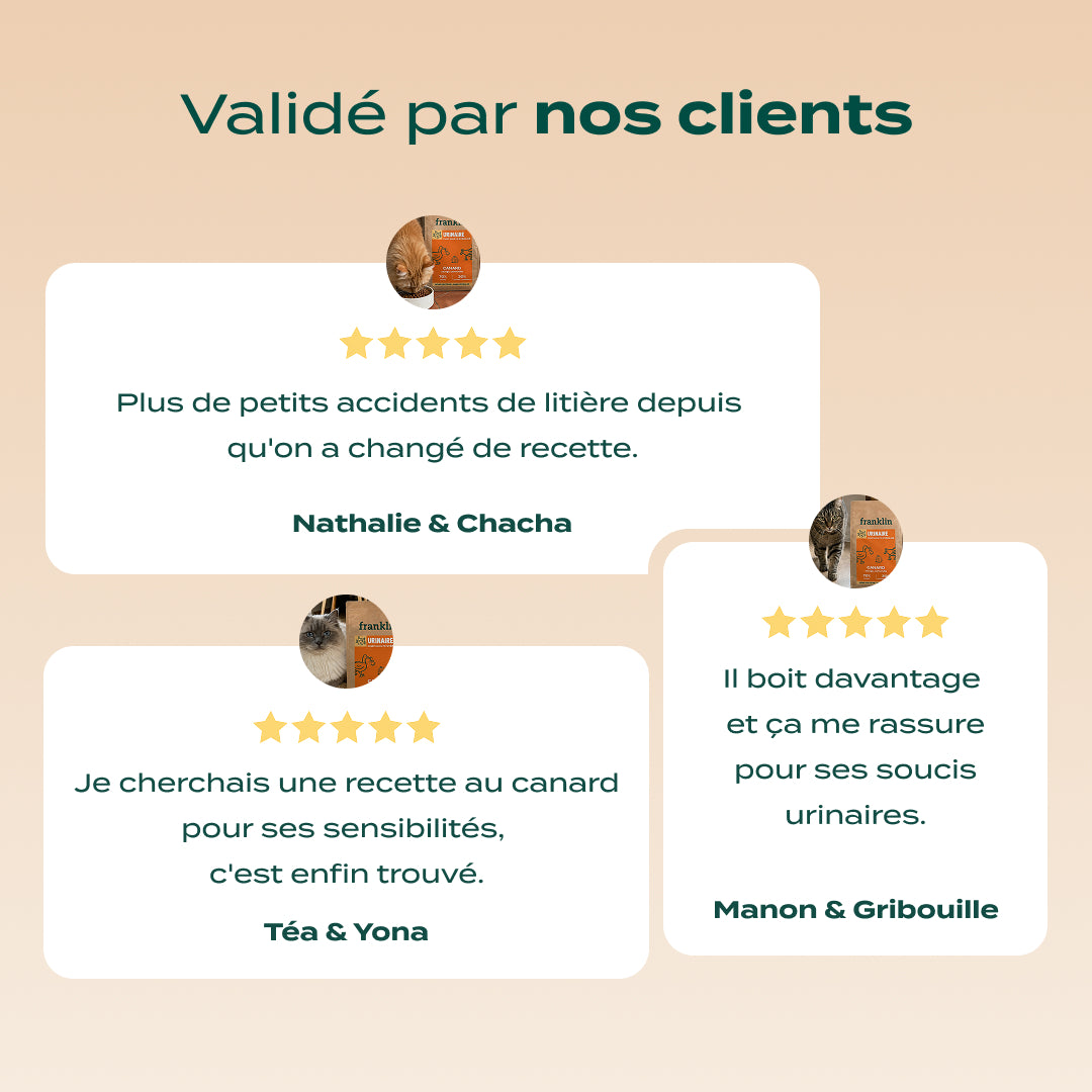 CANARD, COURGE, CAMOMILLE