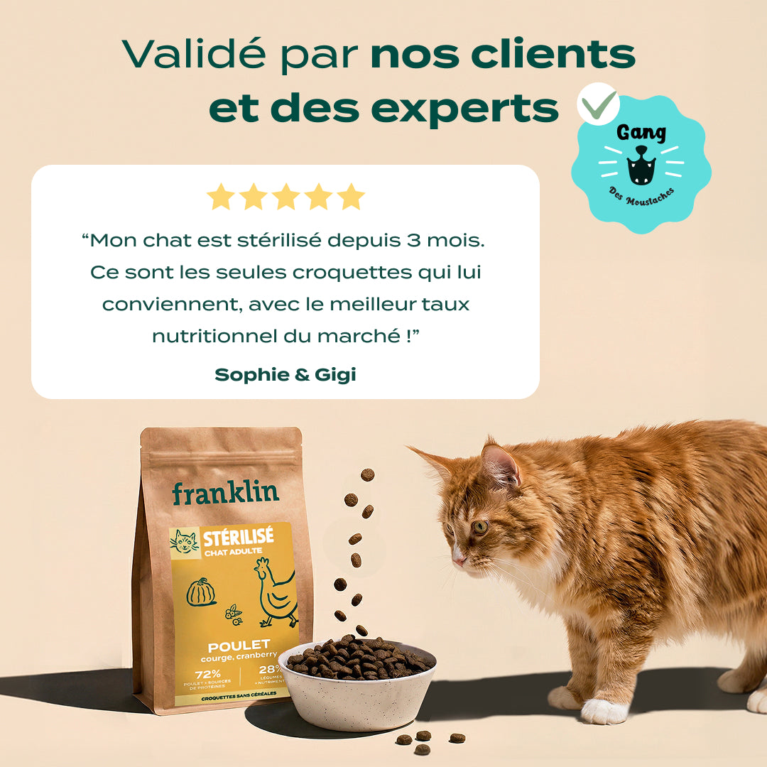 POULET, COURGE, CRANBERRY