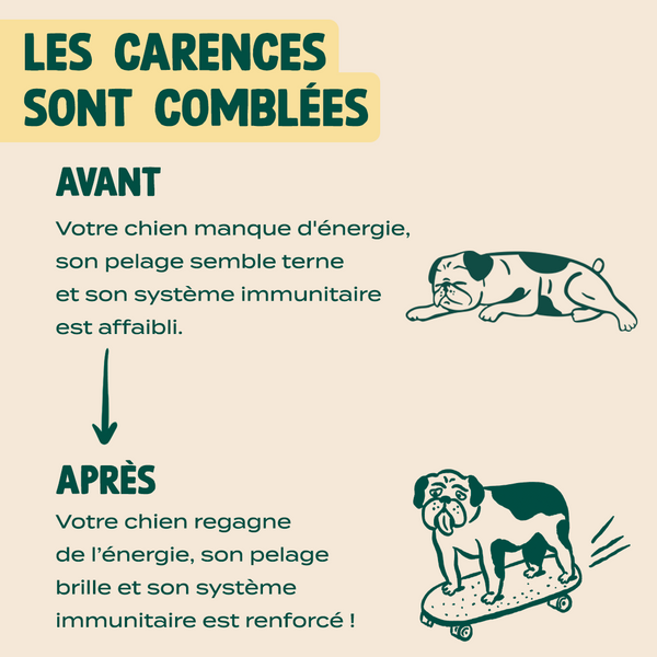 gummies-multivitamines