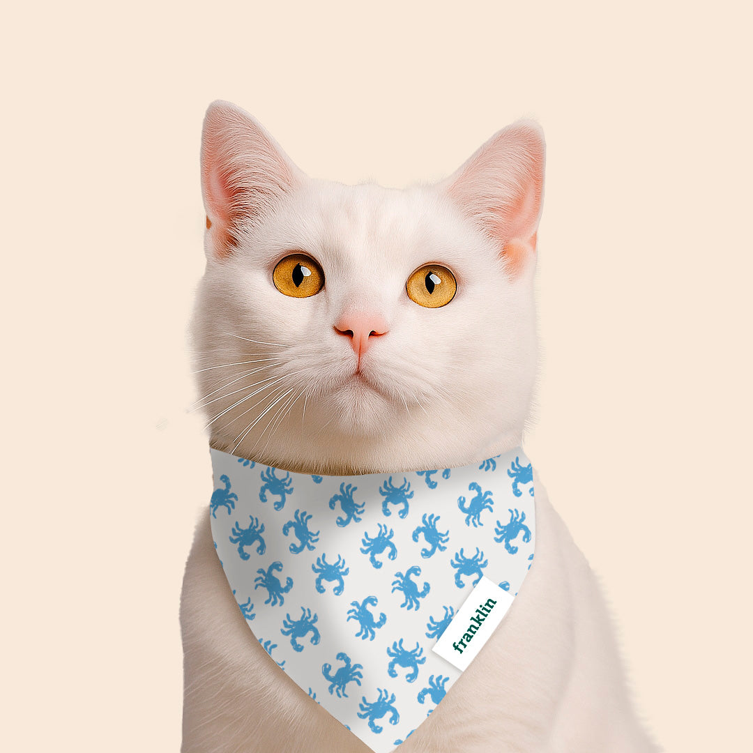 BANDANA 100% COTON CHAT