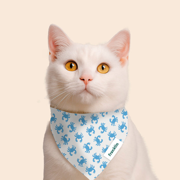 bandana-100-coton-chat
