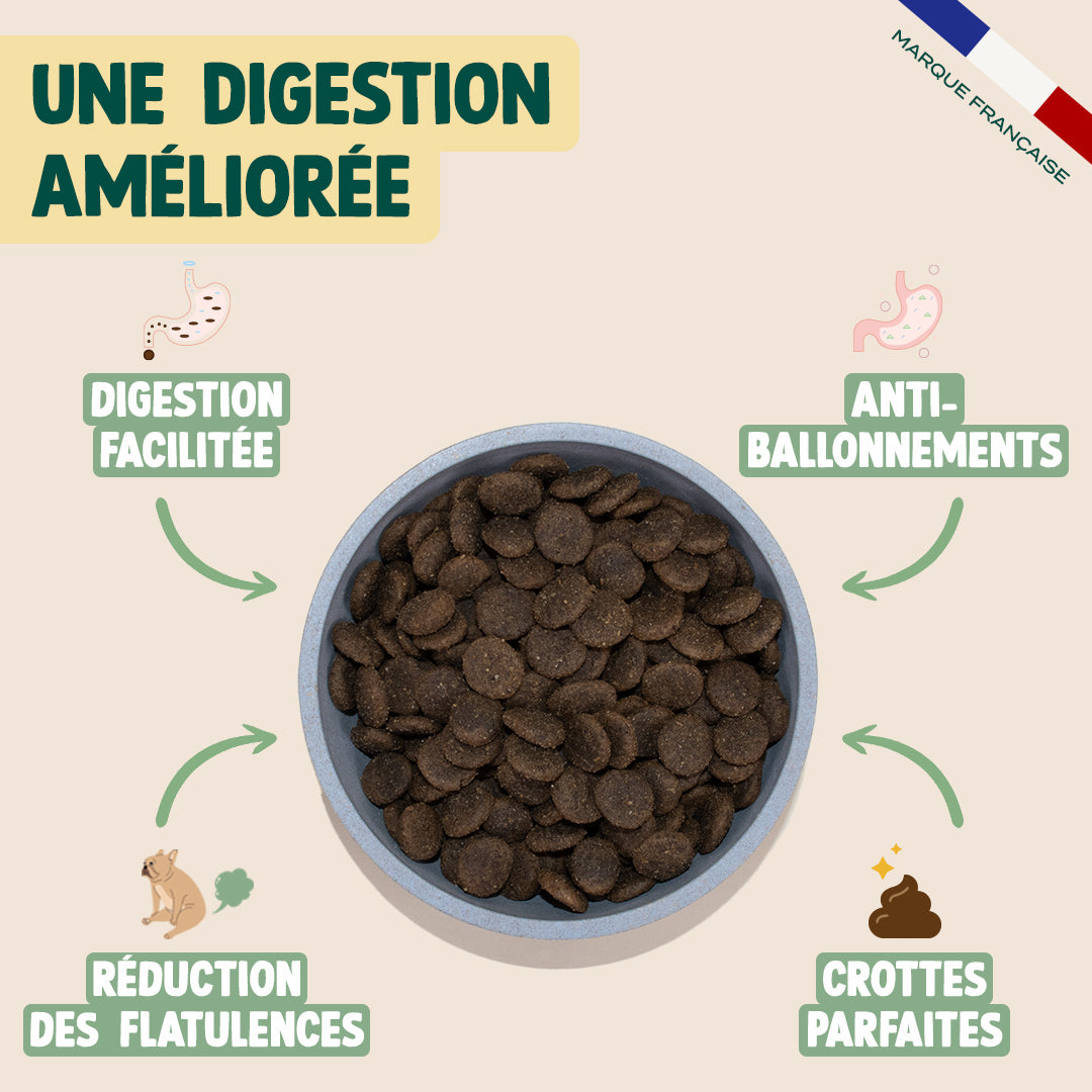 AGNEAU, PATATE DOUCE, MENTHE