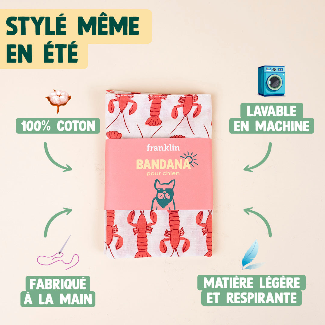 BANDANA 100% COTON CHIEN