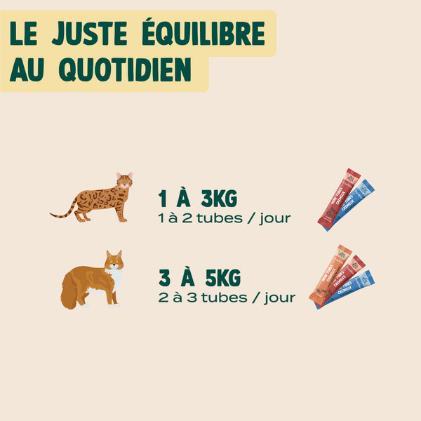 multipack-mini-tubes-cremeux