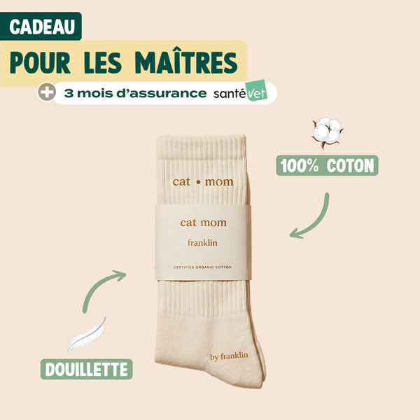 pack-decouverte-chat