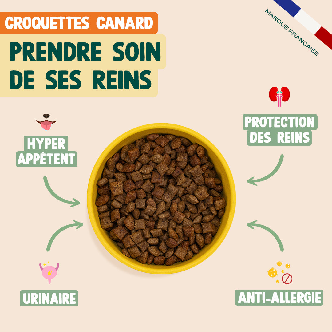 PACK TROUBLES URINAIRES CHAT
