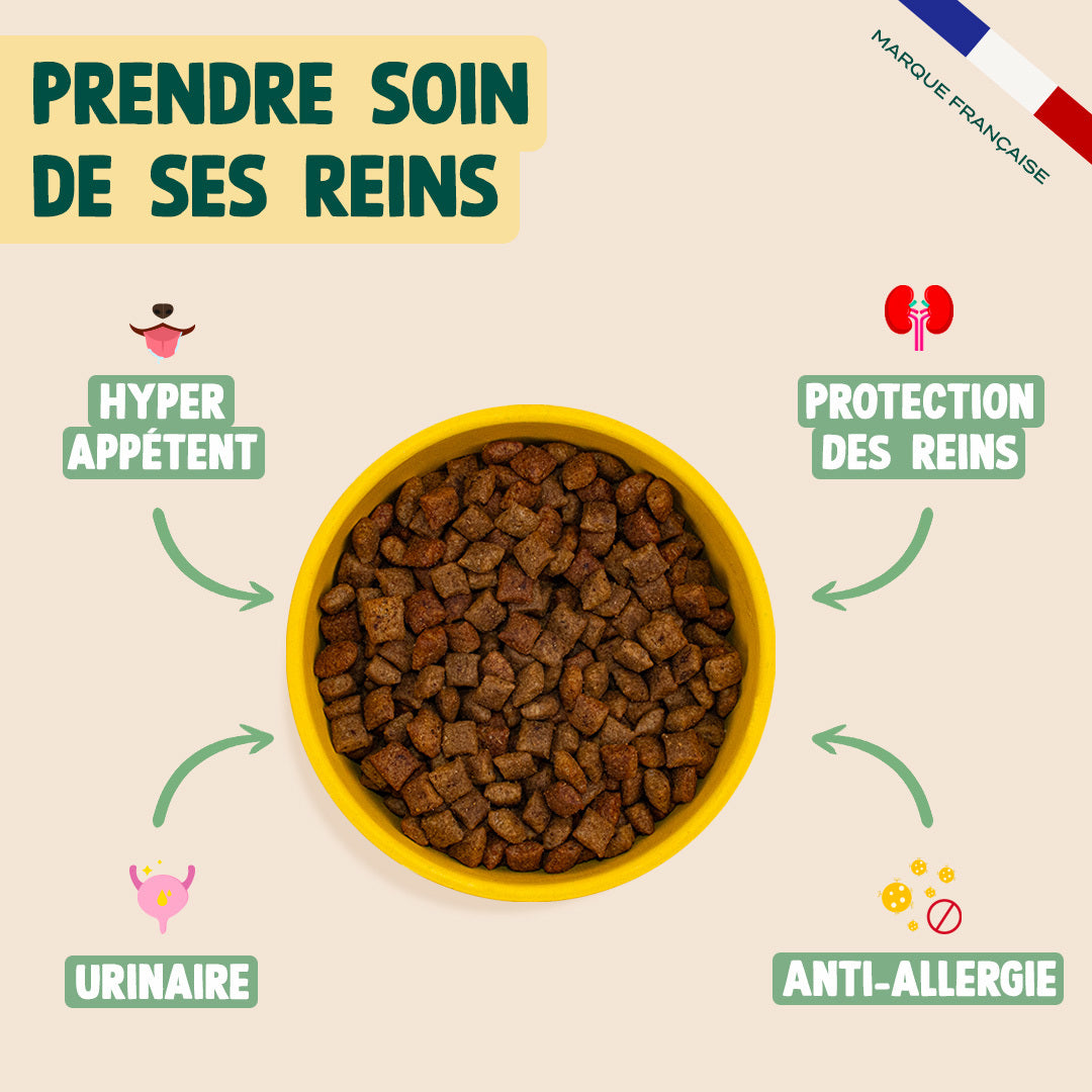 CANARD, COURGE, CAMOMILLE