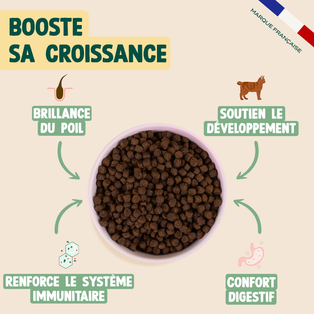 POULET, SAUMON, CAROTTE