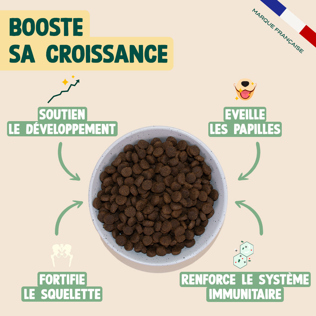 DINDE, TRUITE, PATATE DOUCE