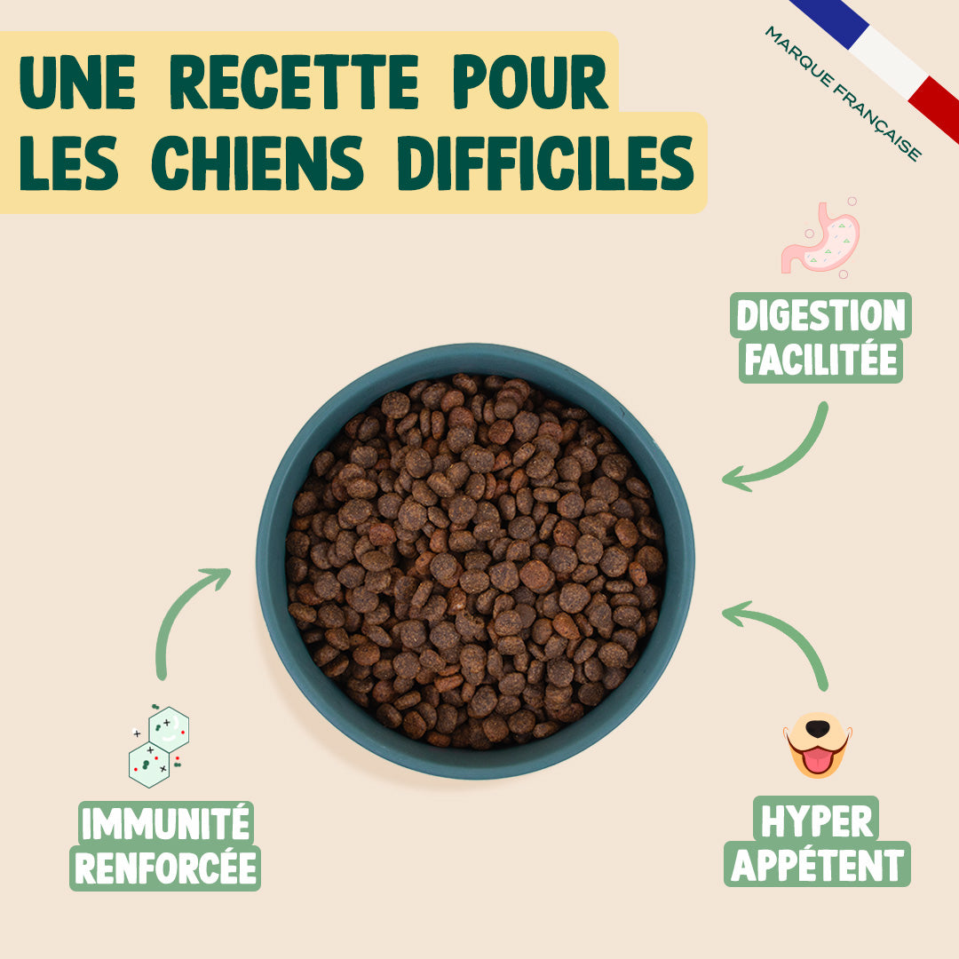 DINDE, CANARD, COURGE