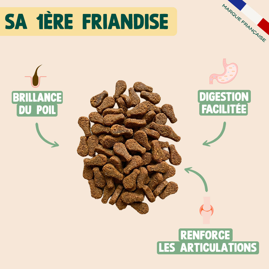 MINI BOUCHÉES - POULET, HERBE À CHAT