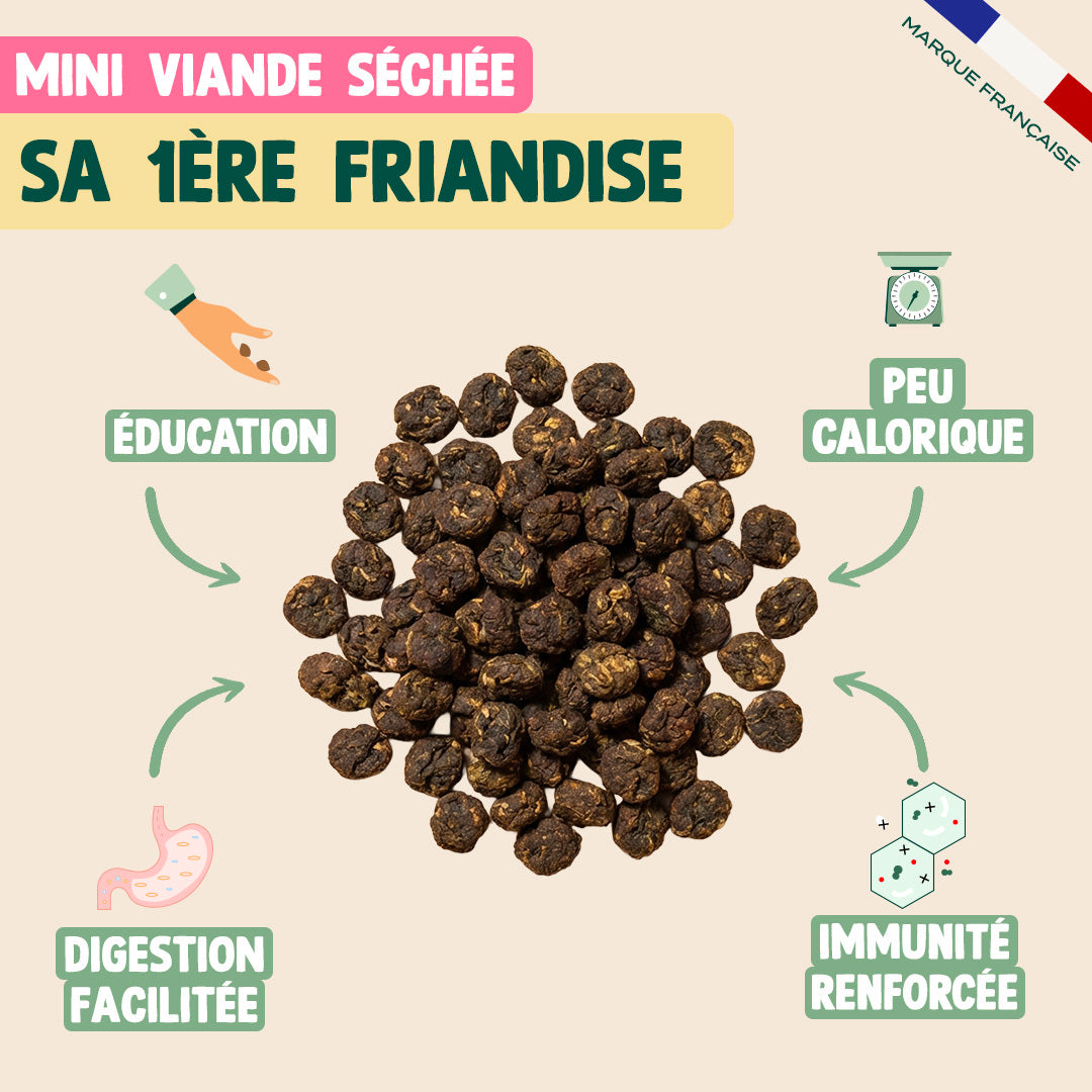 PACK DÉCOUVERTE CHIOT
