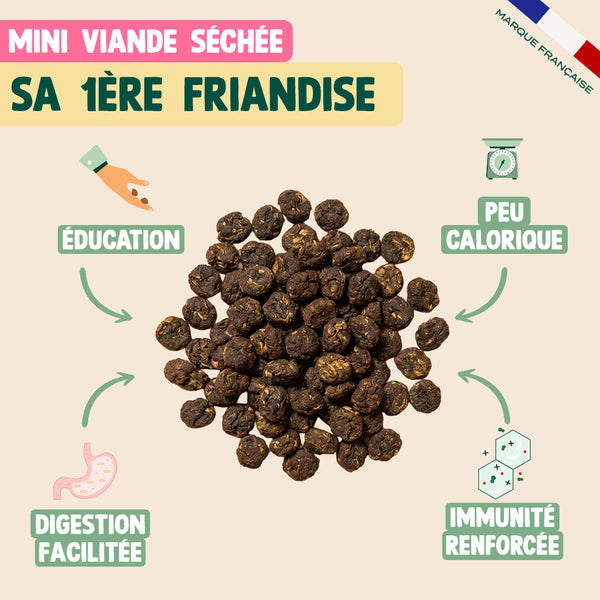 pack-decouverte-chiot