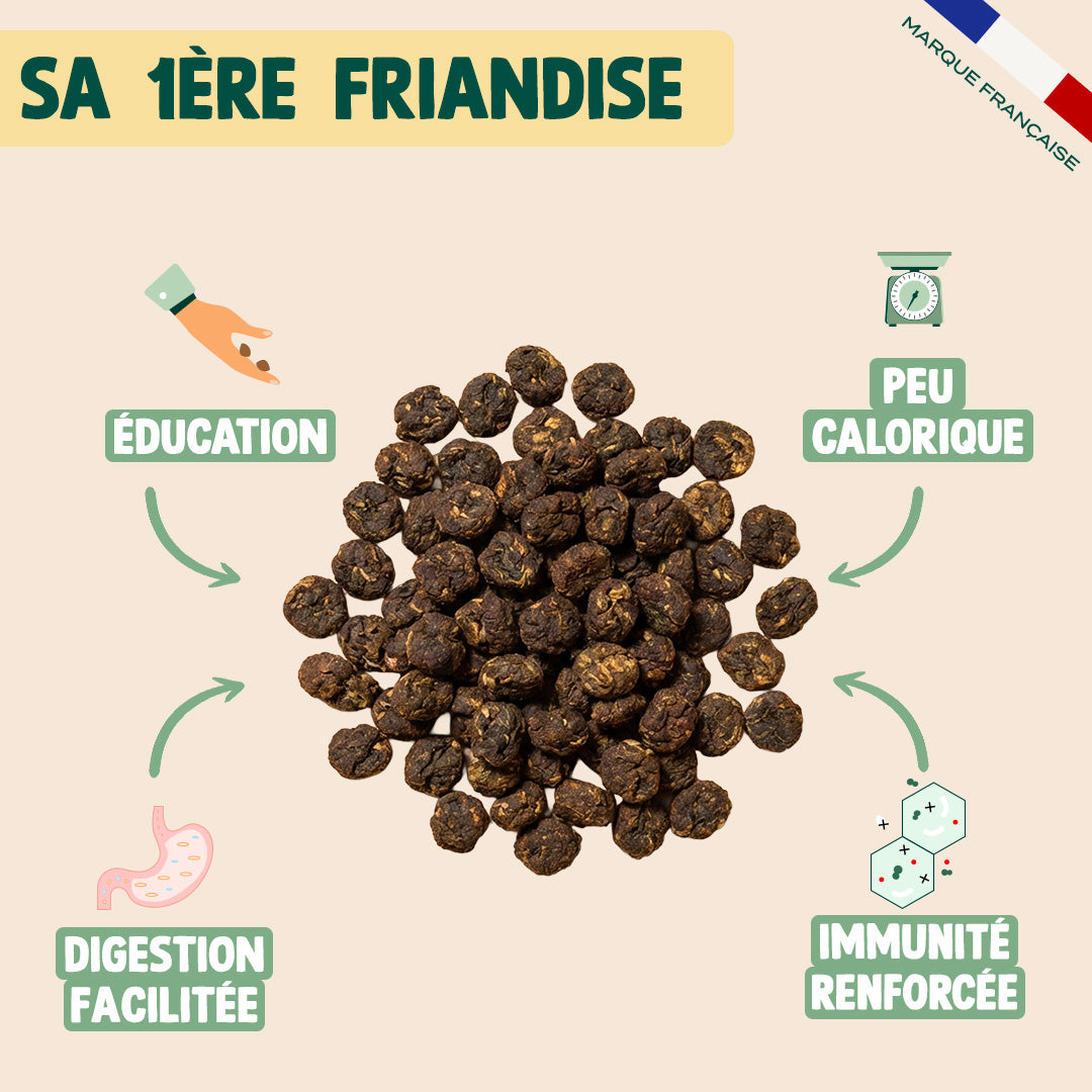 MINI VIANDE SÉCHÉE - BOEUF, ROMARIN