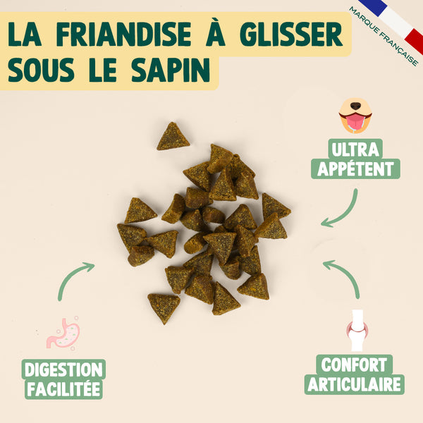 noel-gourmand-dinde-cheddar