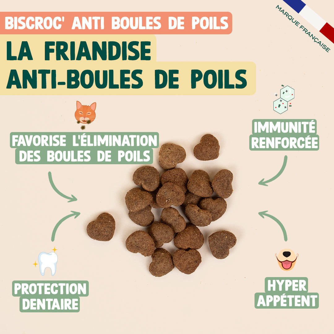 PACK ANTI-BOULES DE POILS CHAT
