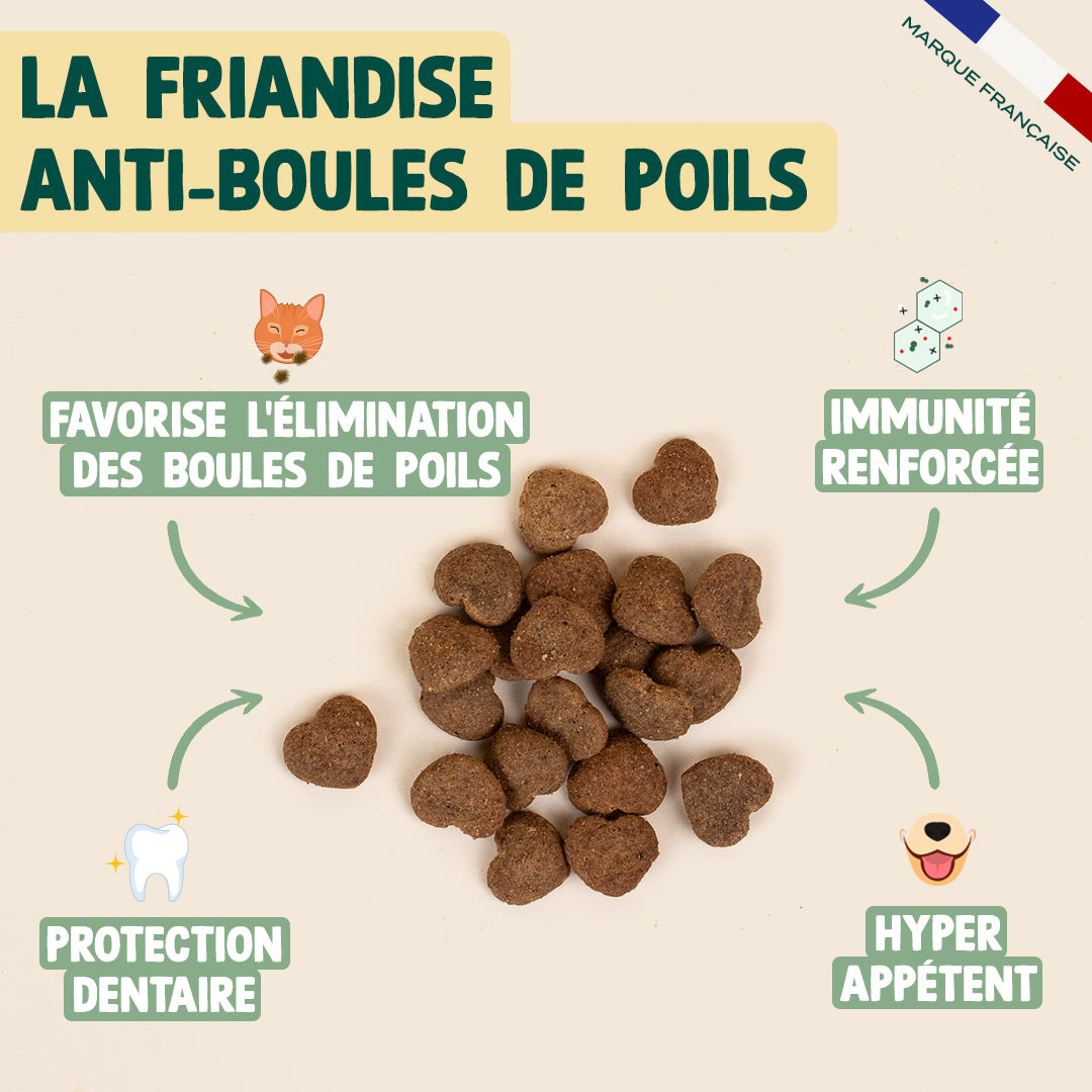 BISCROC' ANTI BOULES DE POILS