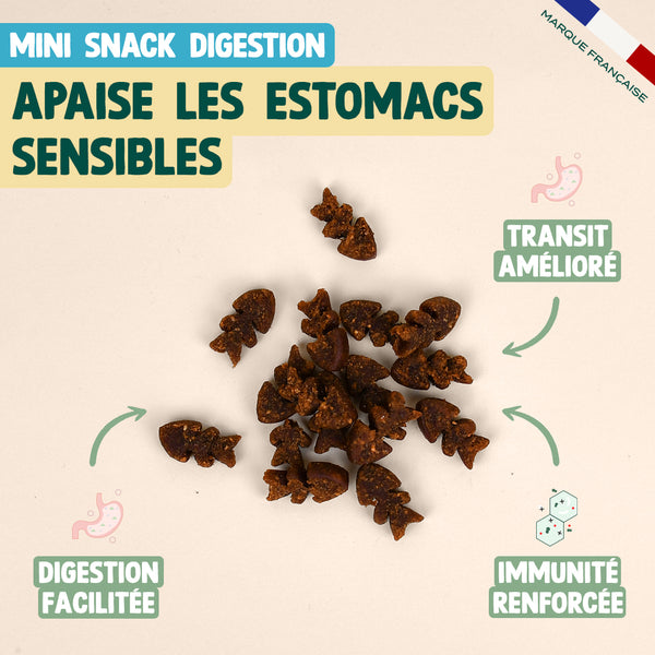 pack-decouverte-mini-snack