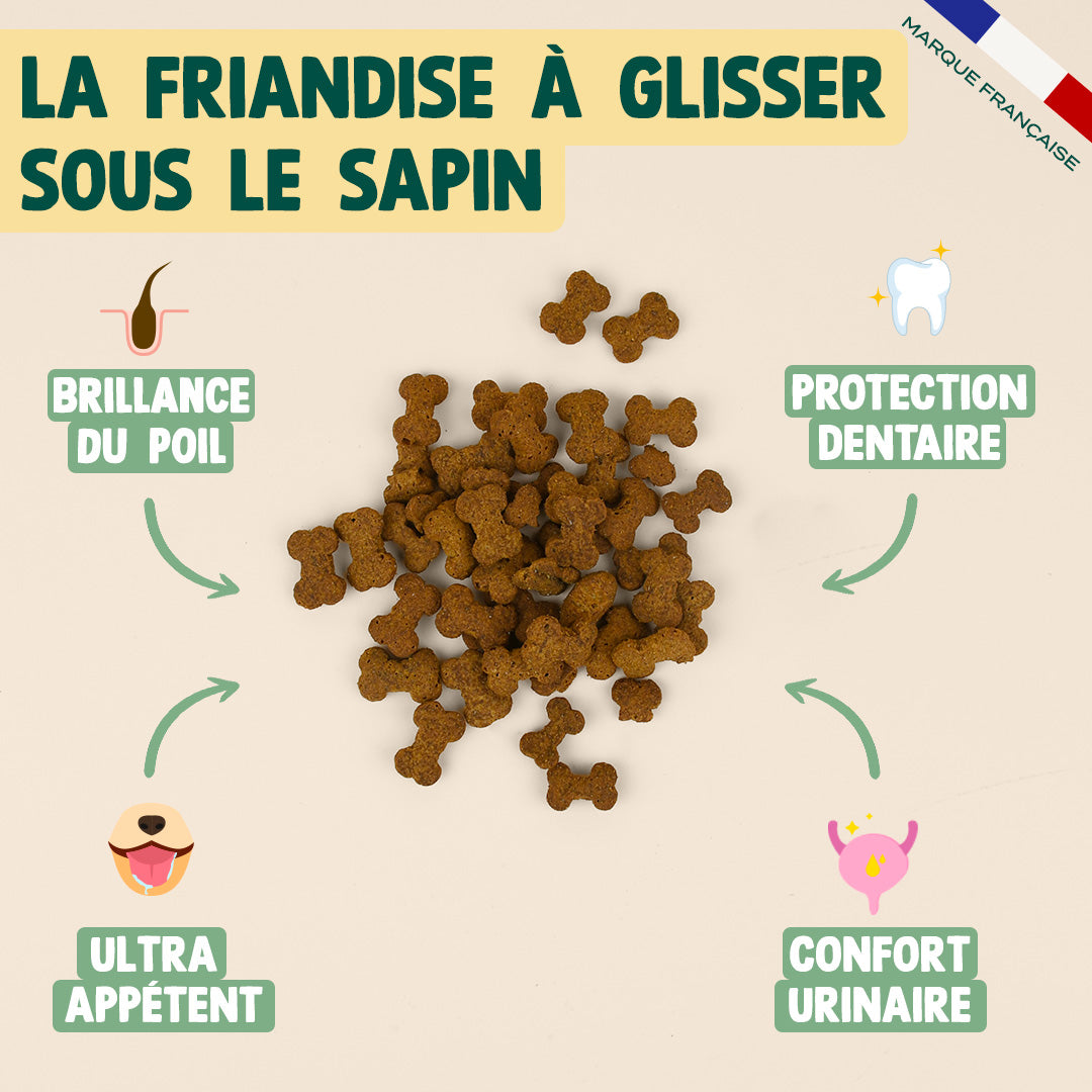 NOËL GOURMAND - CANARD, CRANBERRY