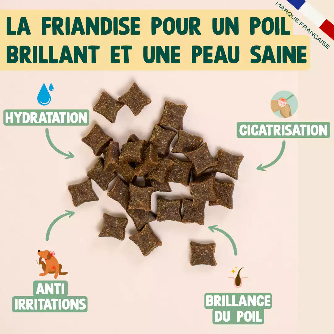 FRIANDISES PEAU & PELAGE