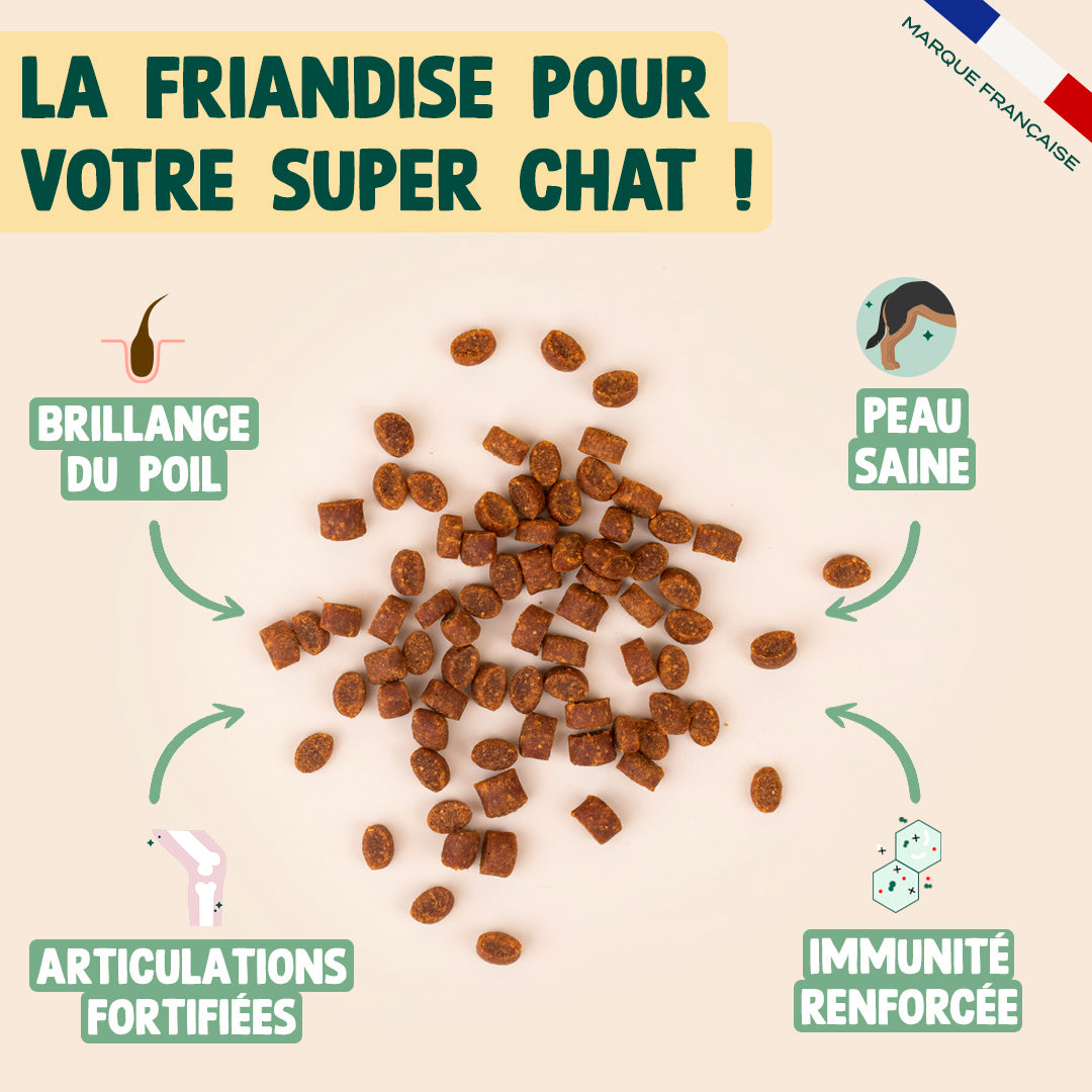 SUPER SNACK SAUMON, COLLAGÈNE