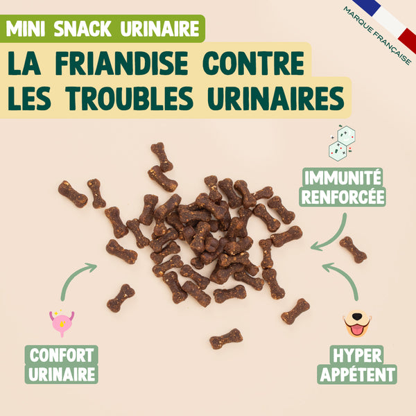 pack-troubles-urinaires-chat